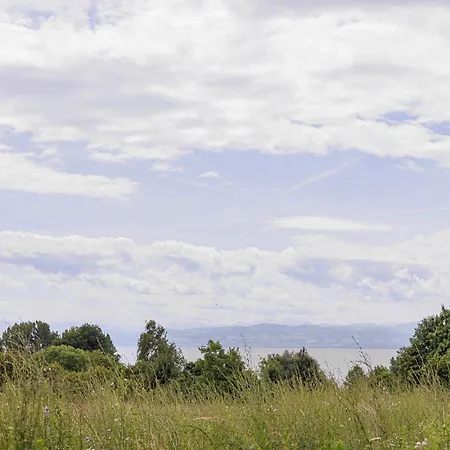 Ferienwohnpark Nurdachhaus Typ 7 Nd 10 Immenstaad am Bodensee